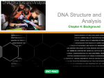 Chapter 4 Background DNA Structure and Analysis