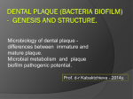 PD_2.Dental_plaque