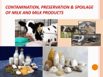 CONTAMINATION, PRESERVATION AND SPOILAGE OF MILK AND