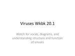 20.1 viruses wkbk key - OG