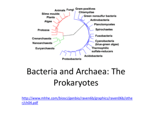 Eubacteria and Archaebacteria
