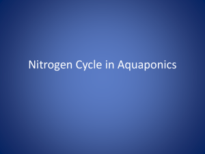 Nitrogen Cycle in Aquaponics