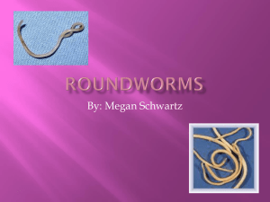 Roundworms