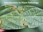 05 Introduction to Plant Pathology