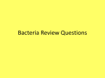 Bacteria Review Questions