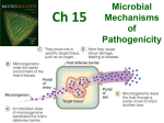 Microbiology