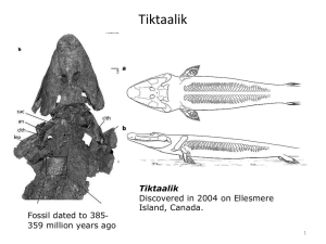 Tiktaalik