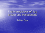 The Microbiology of Bad Breath and Periodontitis