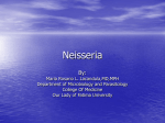 Neisseria - Caangay.com