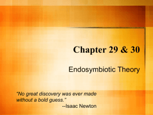 Endosymbiotic Theory