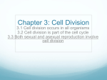 3.3 Both sexual and asexual reproduction involve cell division