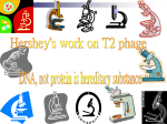 Hershey`s work on T2 phage: