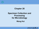 specimen collection