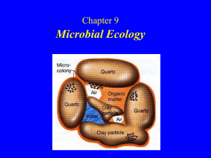 Microbial Ecology 微生物生态学