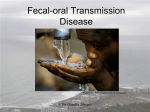 Fecal-oral Transmission Disease