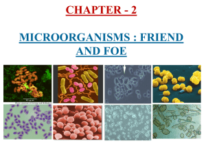 CHAPTER - 2 MICROORGANISMS : FRIEND AND FOE