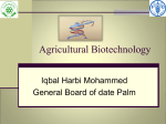 Biotechnology Research and Development in Yemen