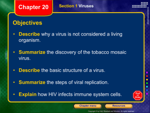 virus and bacteria