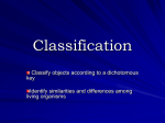 Classification - Baldwin Schools Teachers