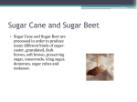 Sugar Cane and Sugar Beet pg33