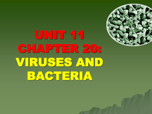BIO UNIT 11 CH 20 Viruses and Bacteria