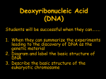 Discovery of the DNA molecule