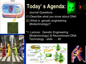 Biotechnology Lectures (PowerPoints)
