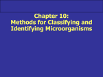 Chapter 10 lecture