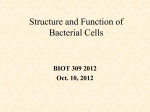 PowerPoint Presentation - Structure of Bacteria