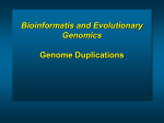 Amsterdam 2004 - Theoretical Biology & Bioinformatics