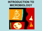 Clinical Microbiology