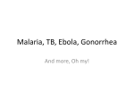 Malaria, TB, Syphilis, Gonorrhea