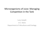 Microorganisms of Juice: Managing Competition in the Tank