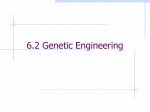 6.2 Genetic Engineering