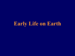 Early Life on Earth - University of Evansville