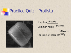 Practice Quiz: Protista - Mt. San Antonio College