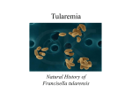 tularemia - SAMSI Home Page