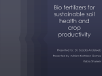 Bio fertilizers for sustainable soil health and crop