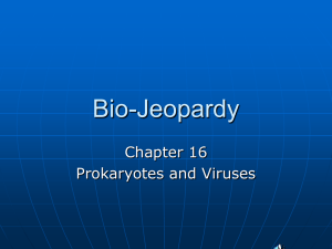 Bio-Jeopardy - shsbiology / FrontPage