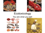 Ecotoxicology - Coastal Carolina University