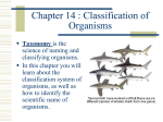 Chapter 14 : Classification of Organisms