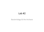 Lab #2