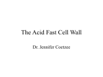 The Acid Fast Cell Wall - University of the Witwatersrand