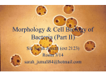 Morphology & Cell Biology of Bacteria (Part II)