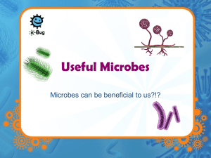 Spread of Infection - e-Bug