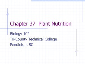 Chapter 38 Plant Nutrition - Tri
