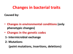 DNA-Mediated Transformation