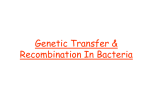 Genetic Transfer & Recombination In Bacteria