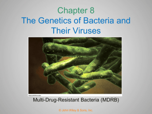 Chapter 8 The Genetics of Bacteria and Their Viruses