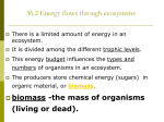 Chapter 36: Ecosystems and Conservation Biology